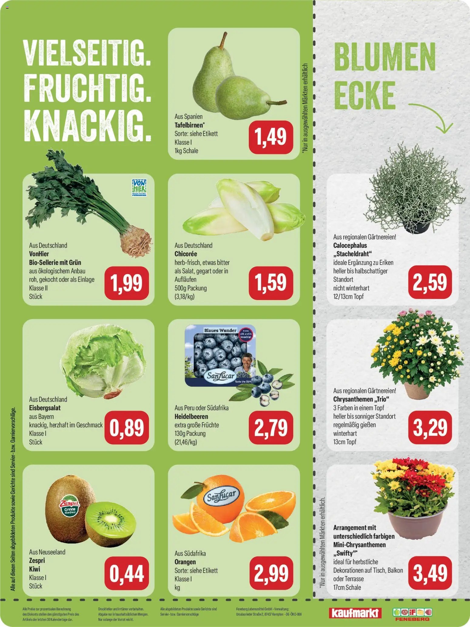 Feneberg Angebote