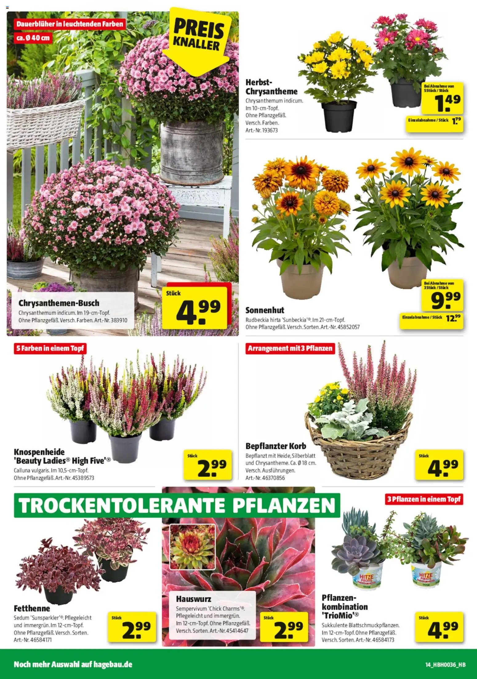 Hagebau Prospekt