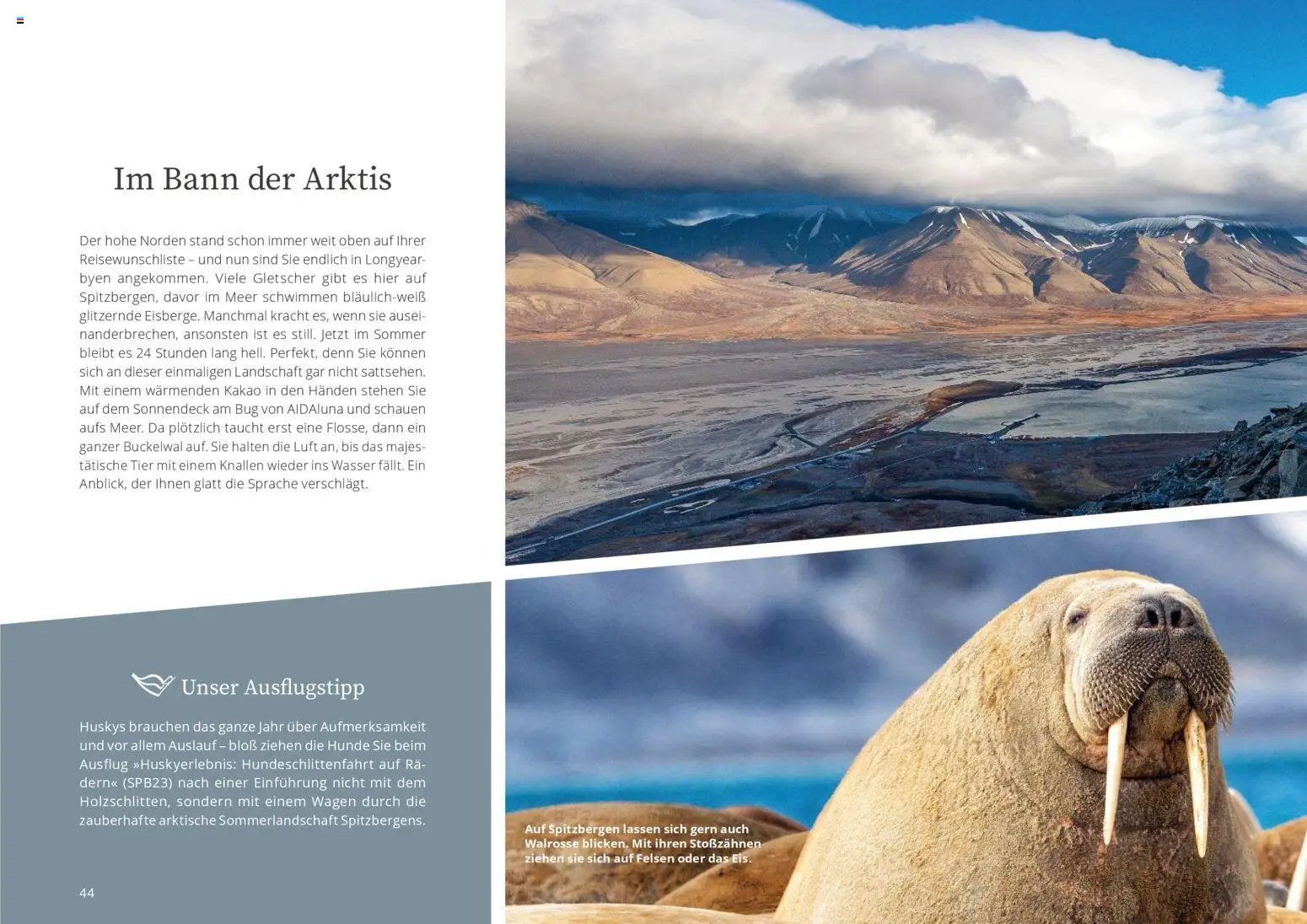 Aida AIDAselection