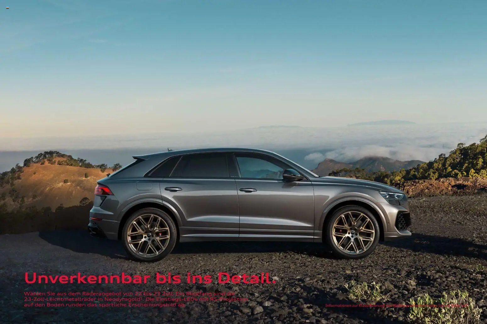 Audi RS Q8 / RS Q8 performance
