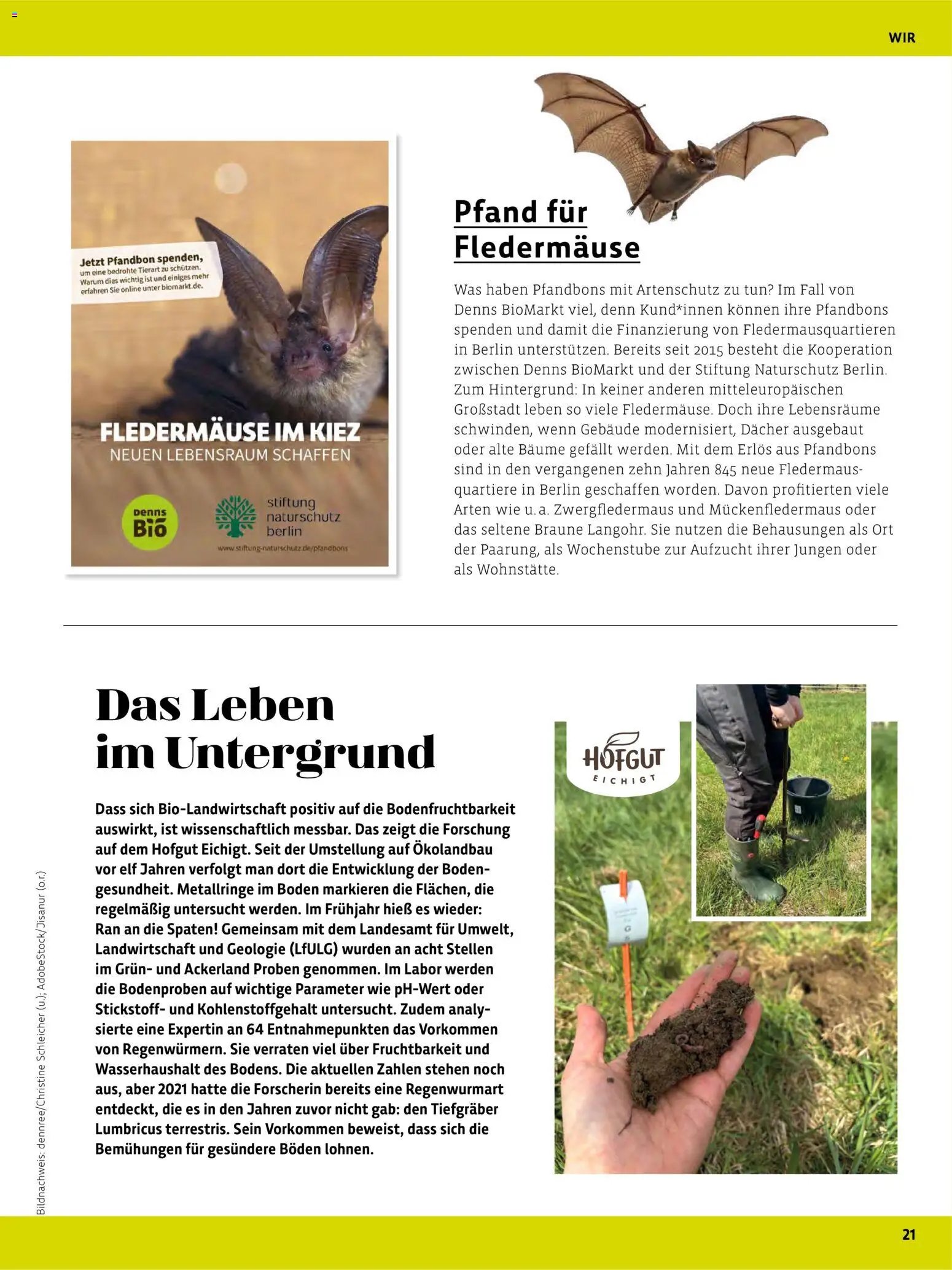 BioMarkt Kreo Magazin