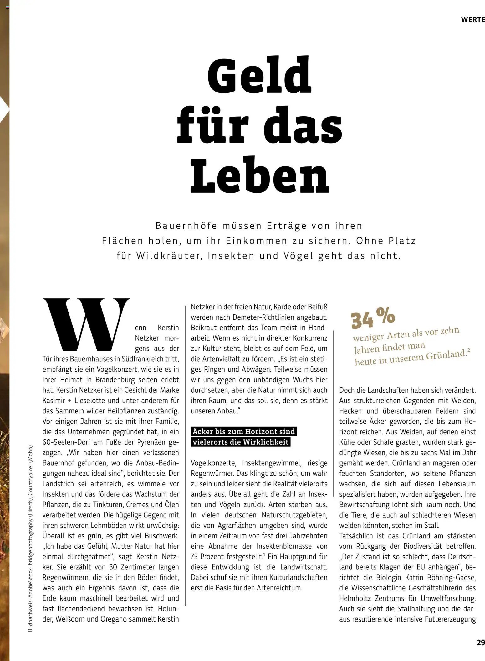 BioMarkt Kreo Magazin