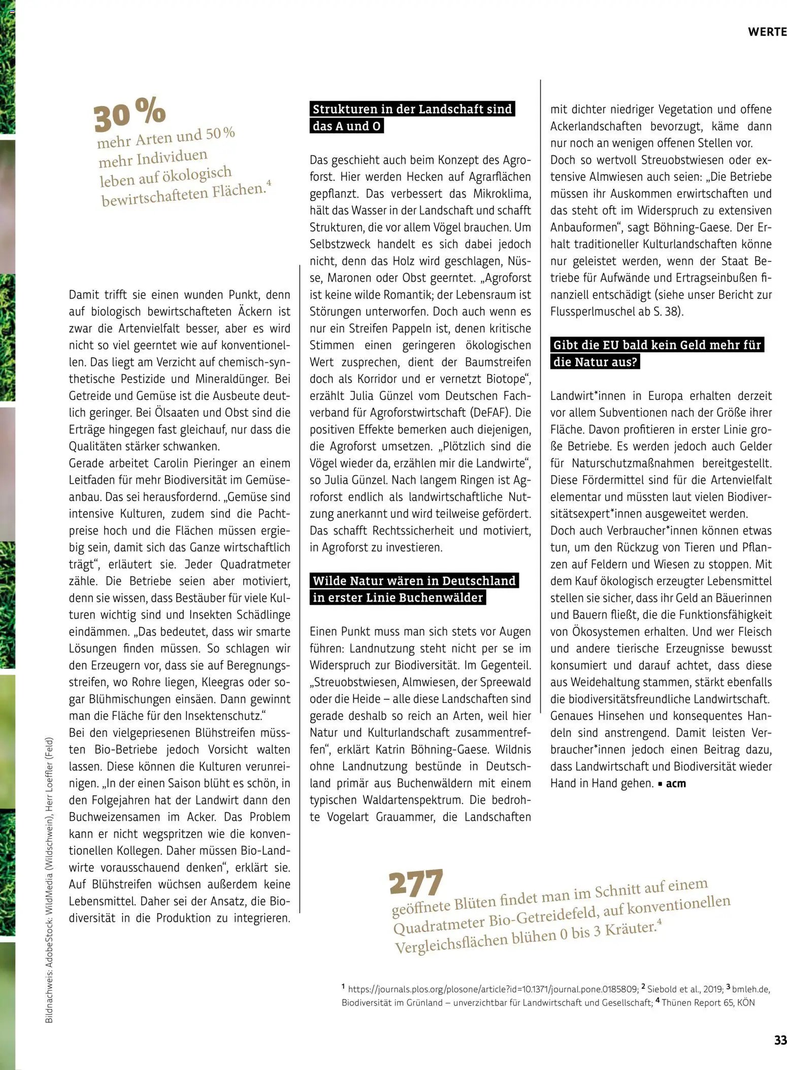 BioMarkt Kreo Magazin