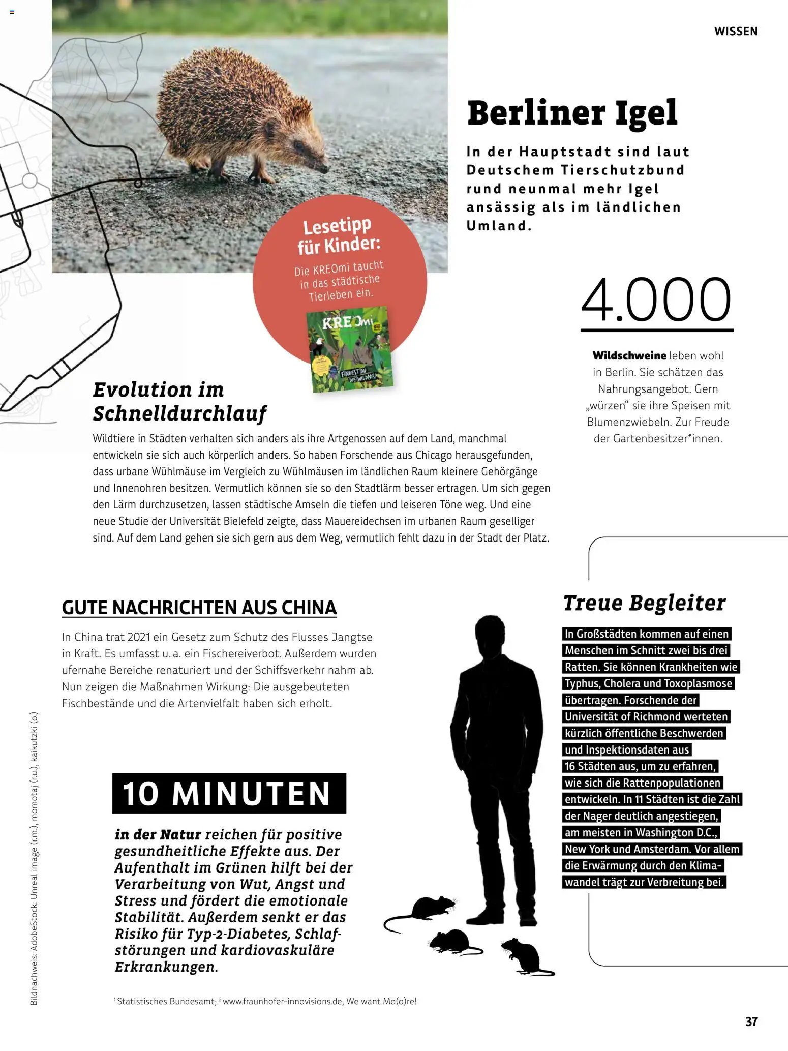 BioMarkt Kreo Magazin