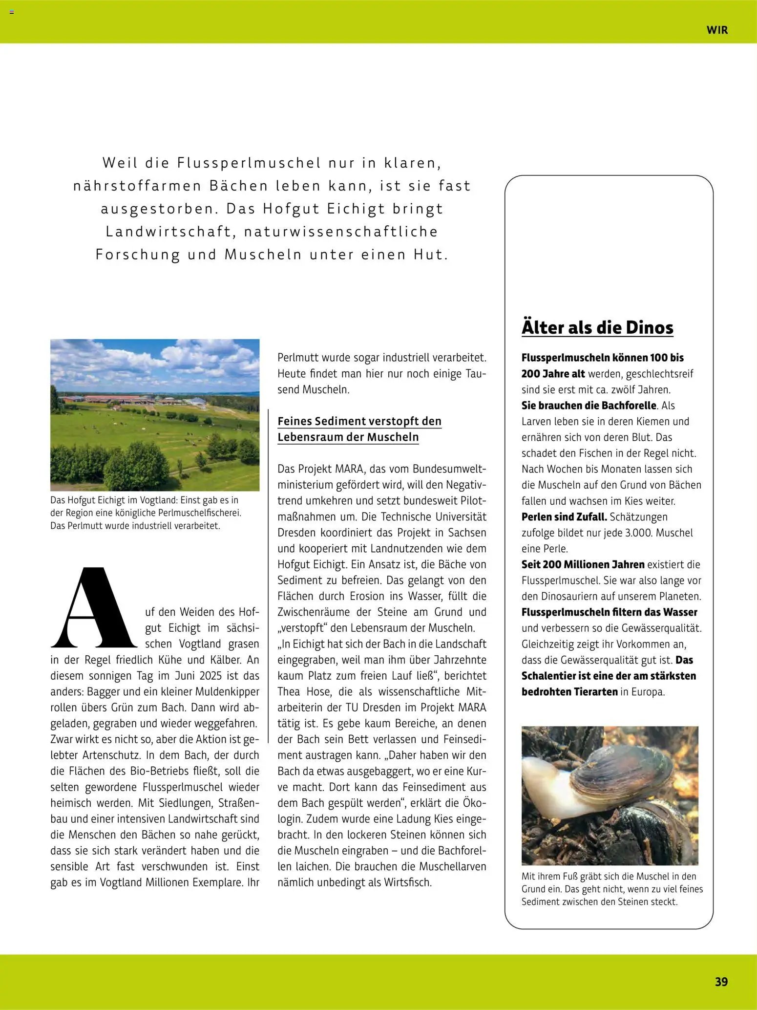 BioMarkt Kreo Magazin