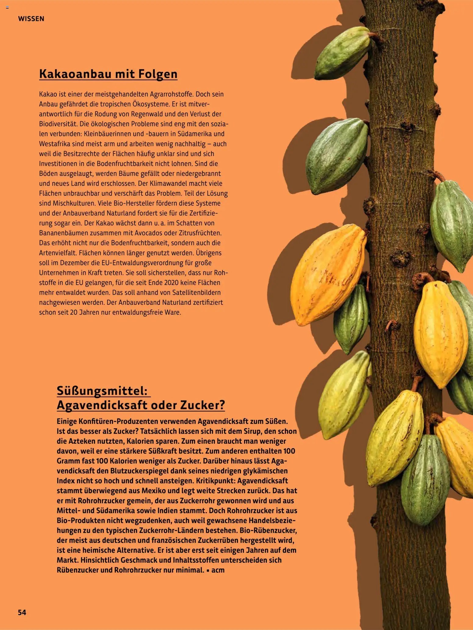 BioMarkt Kreo Magazin