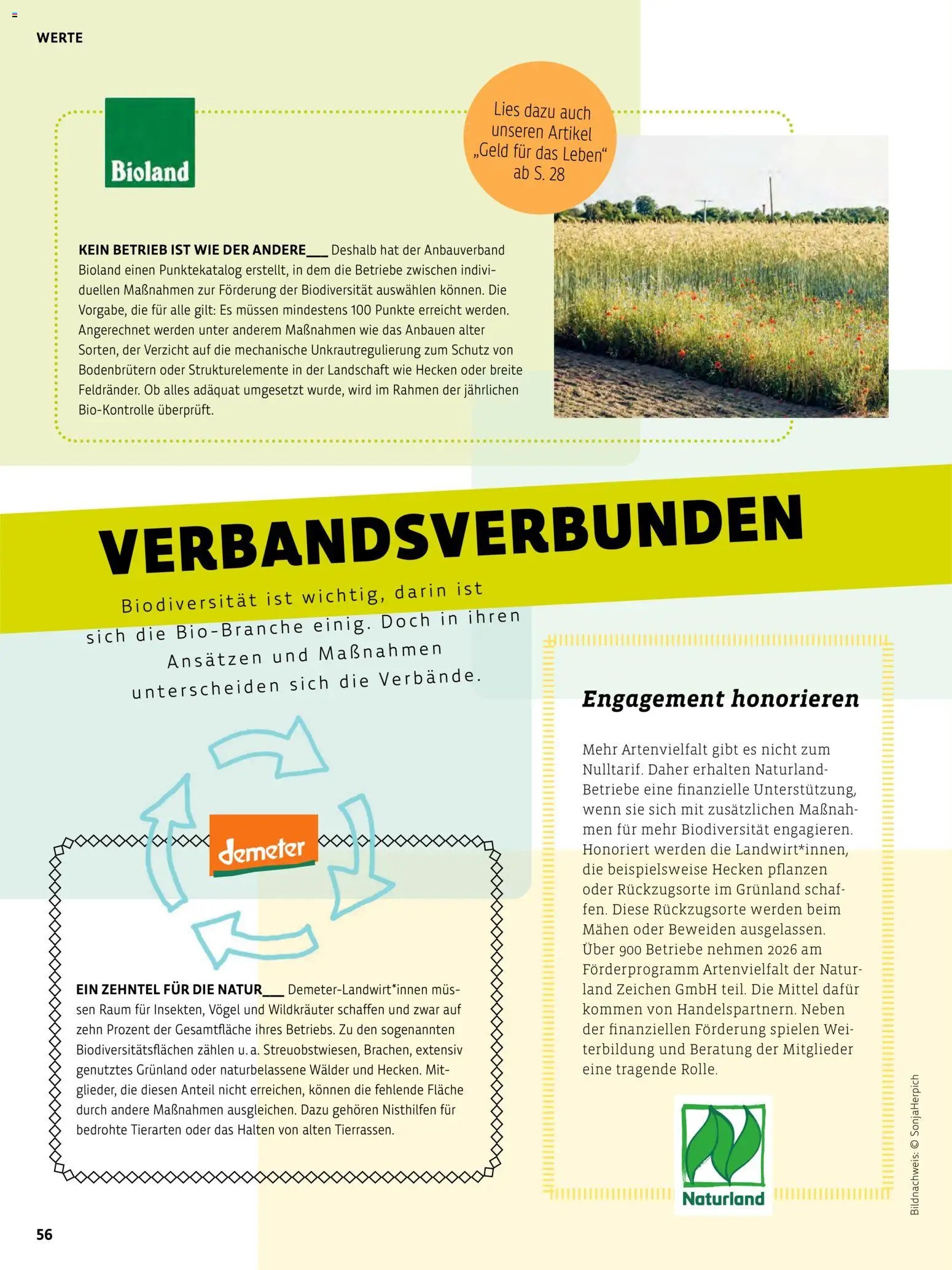 BioMarkt Kreo Magazin