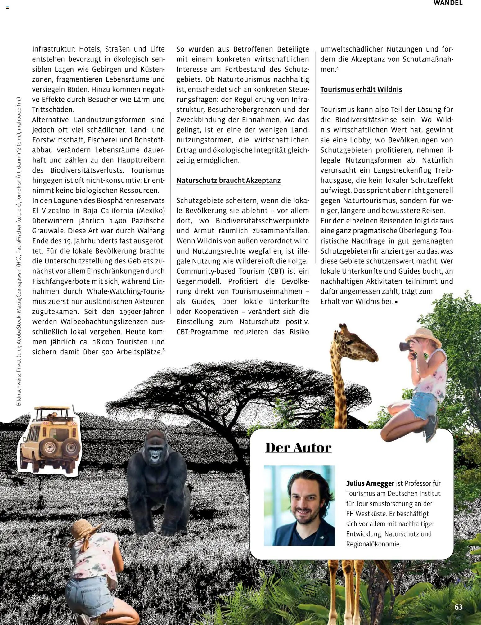 BioMarkt Kreo Magazin