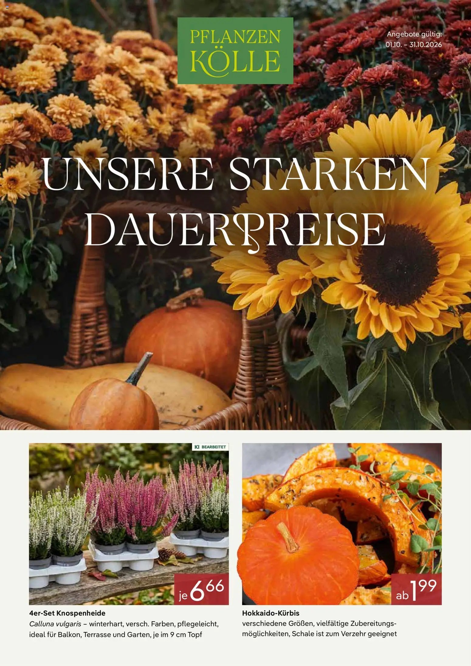 Pflanzen-Kölle Prospekt