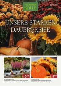 Pflanzen-Kölle Prospekt