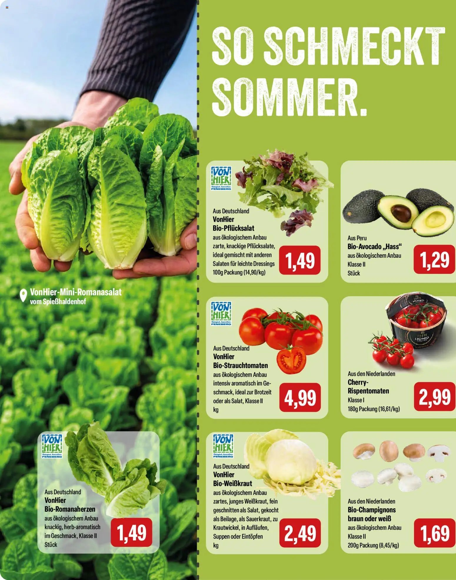 Feneberg Angebote