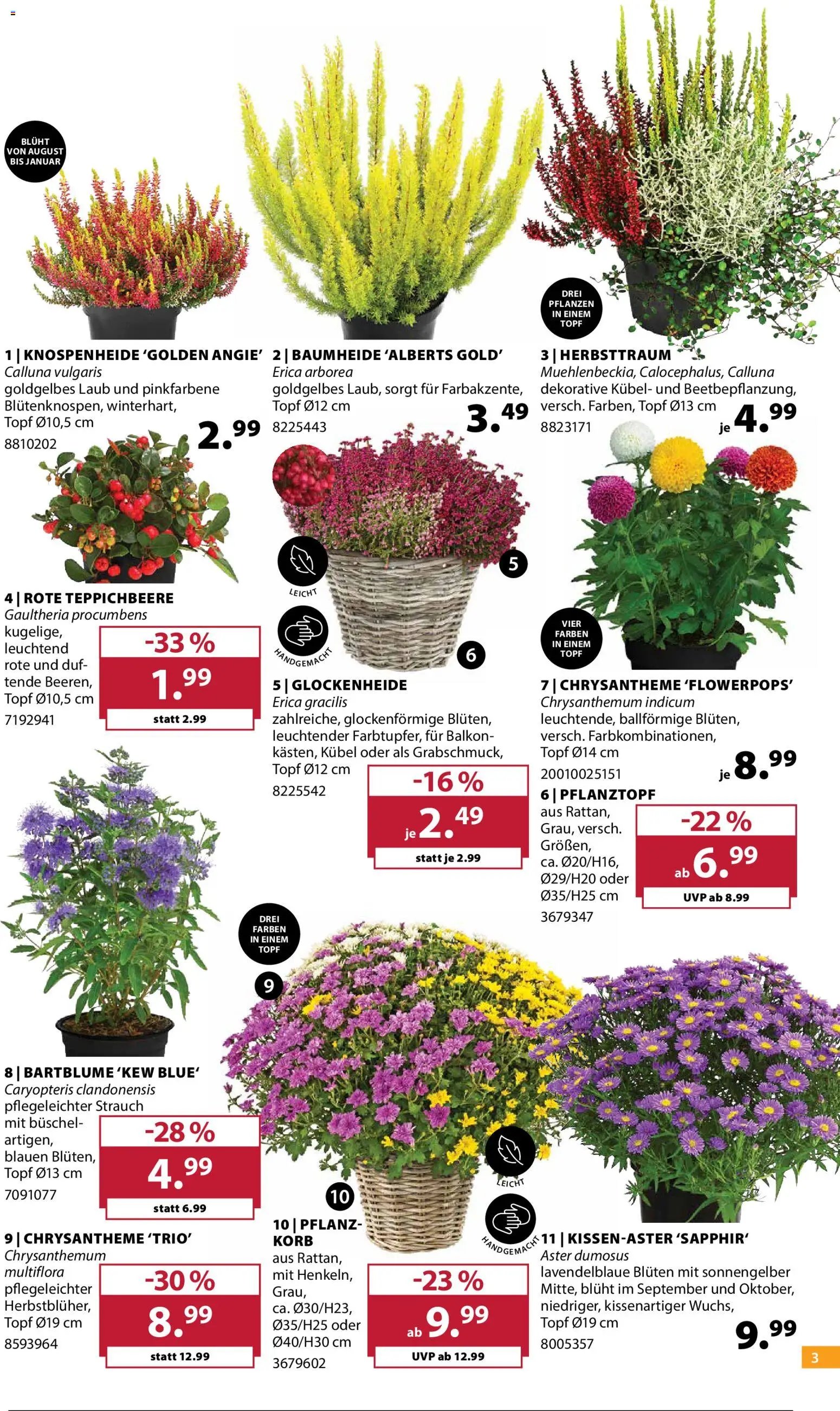 Dehner Prospekt