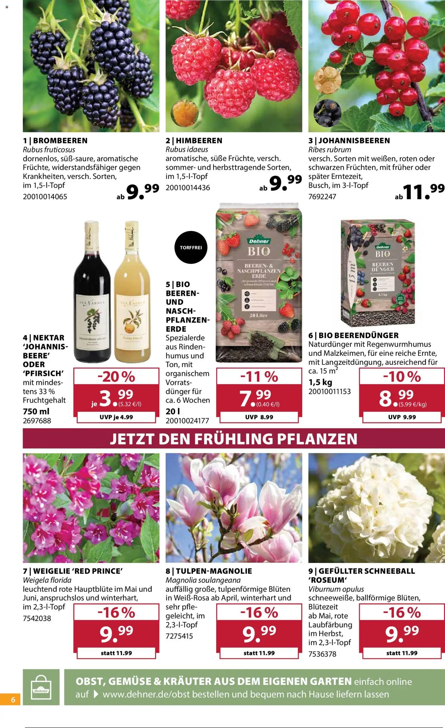 Dehner Prospekt