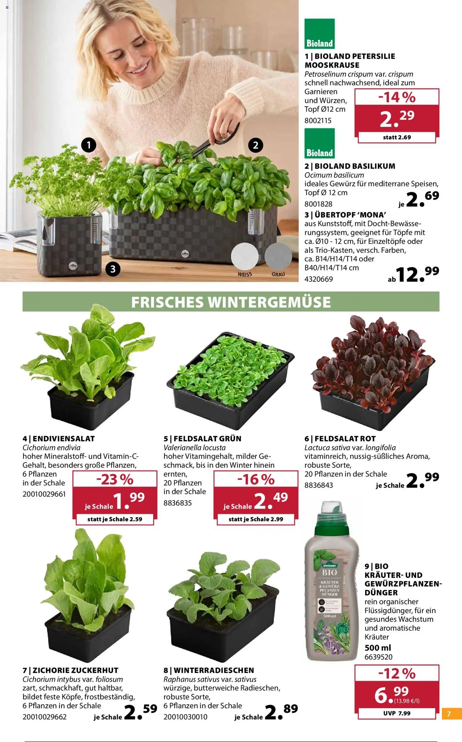 Dehner Prospekt