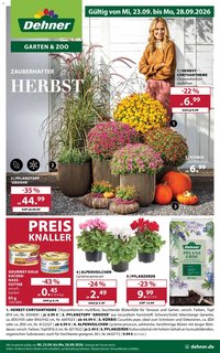 Dehner Prospekt