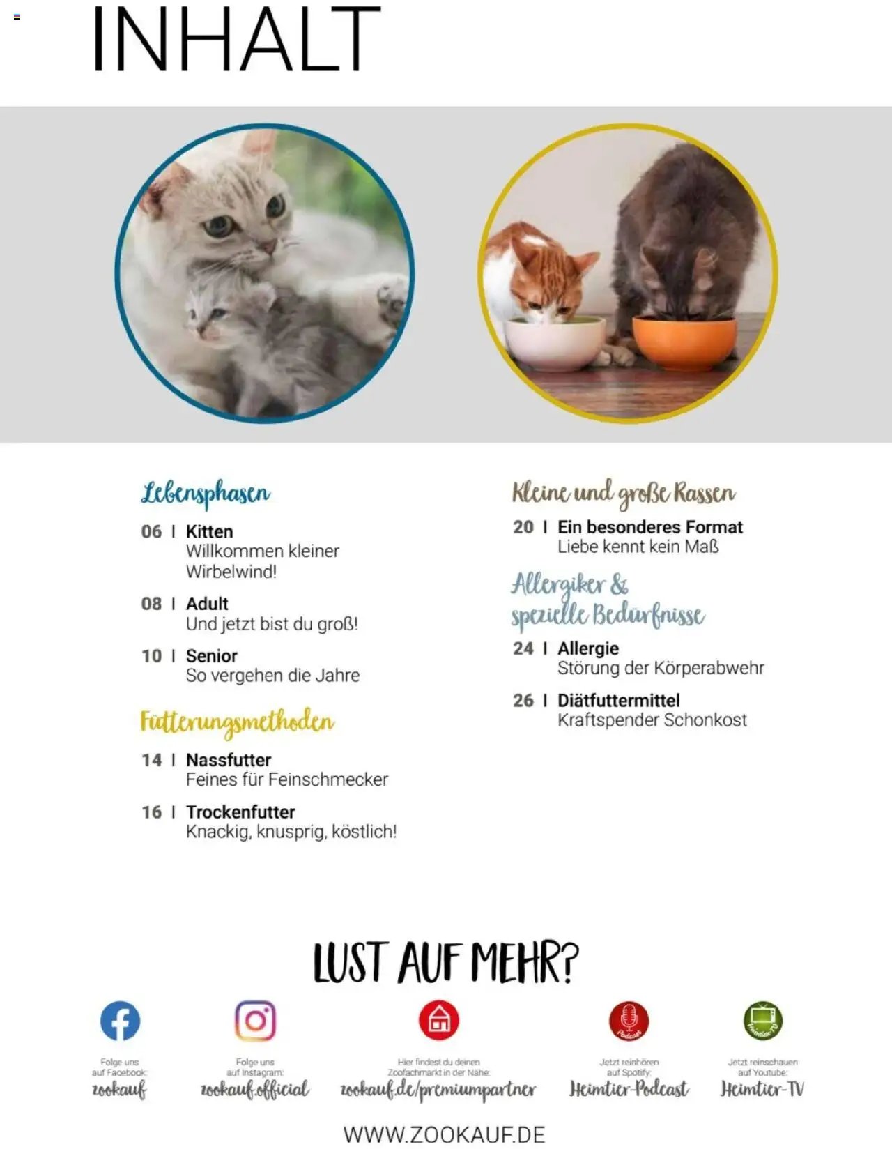 zookauf Themenkatalog Katze