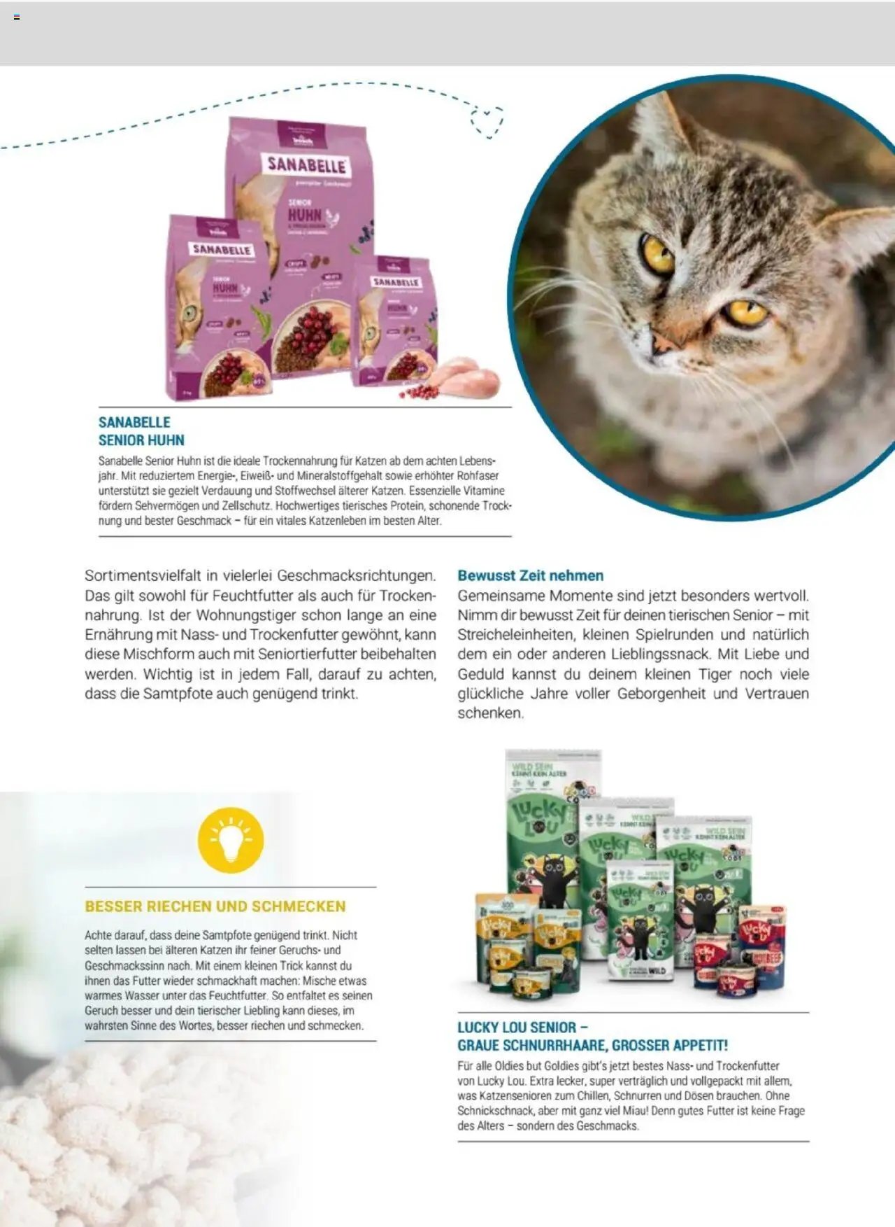 zookauf Themenkatalog Katze