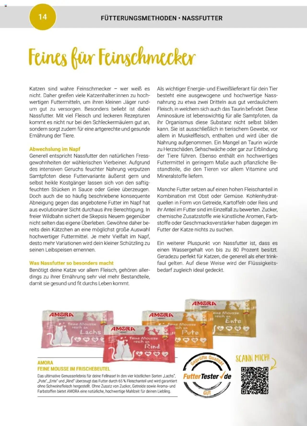 zookauf Themenkatalog Katze