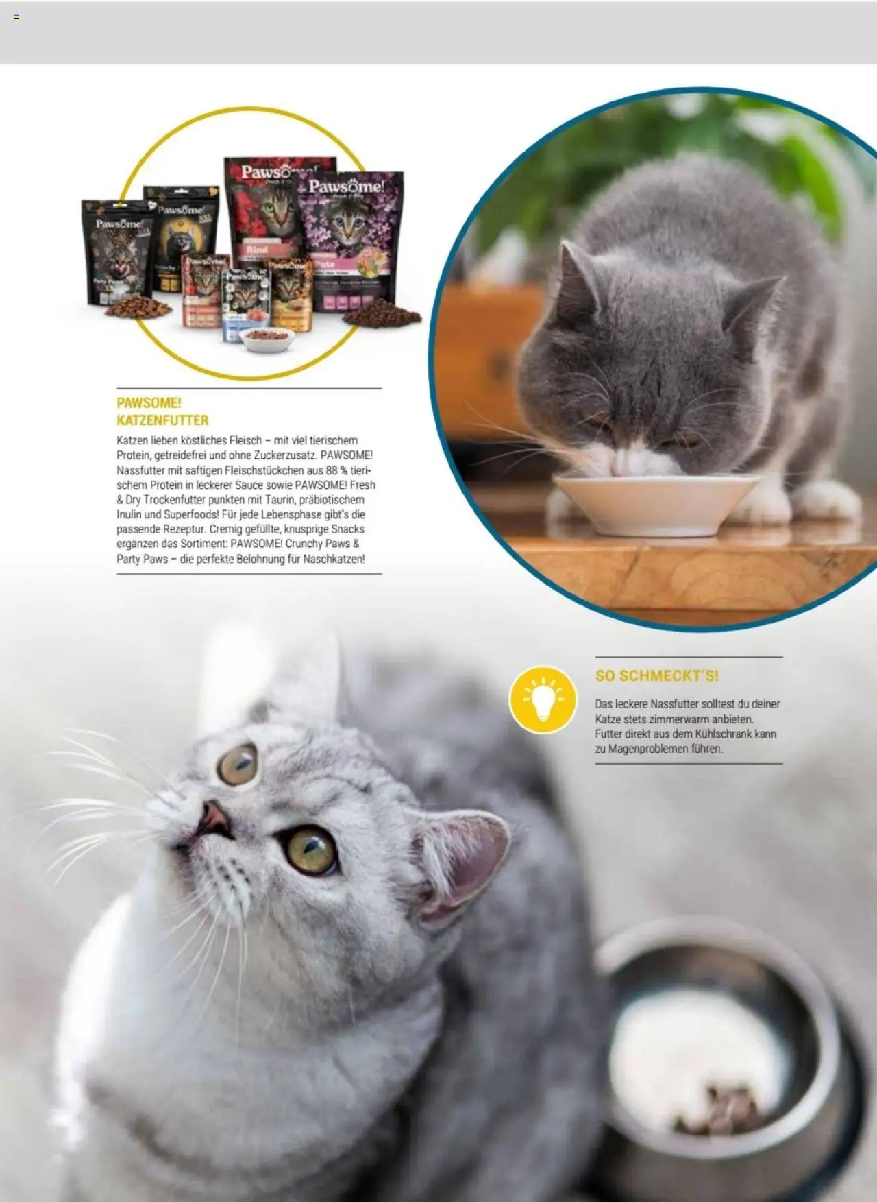 zookauf Themenkatalog Katze