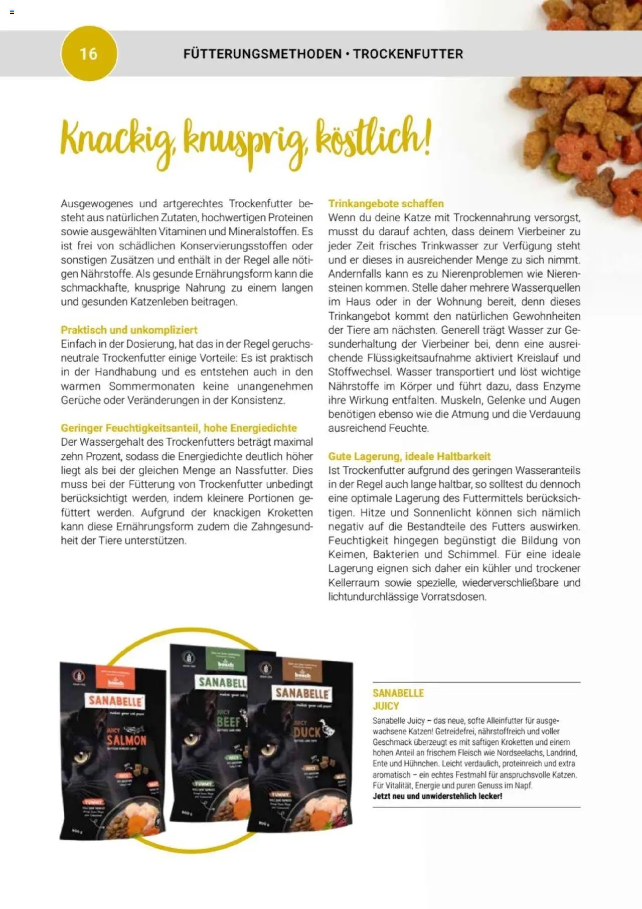 zookauf Themenkatalog Katze