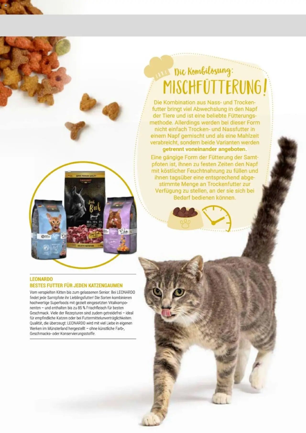 zookauf Themenkatalog Katze