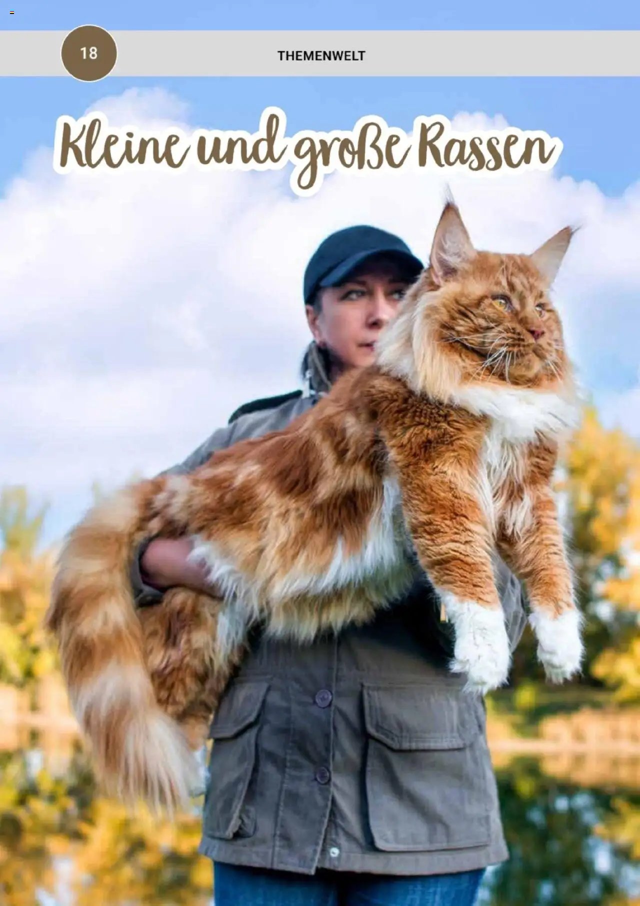 zookauf Themenkatalog Katze