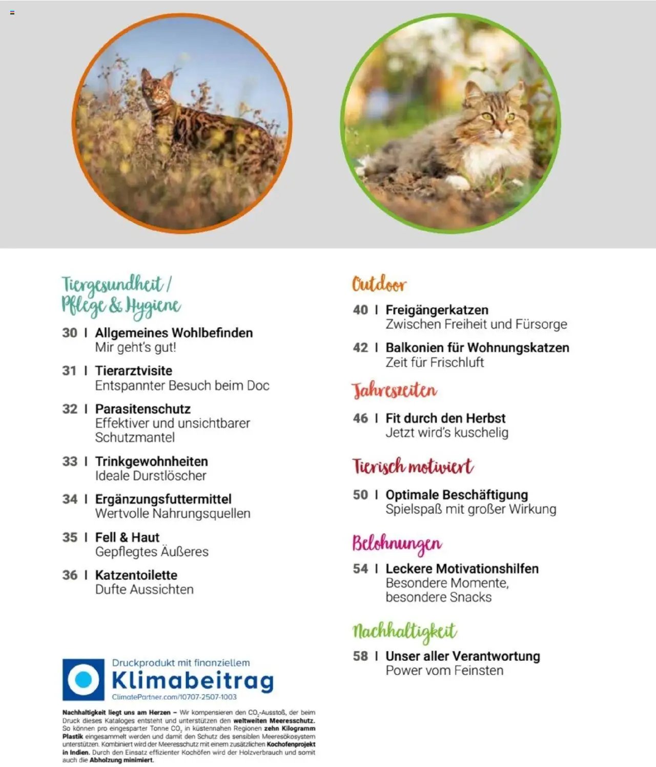 zookauf Themenkatalog Katze