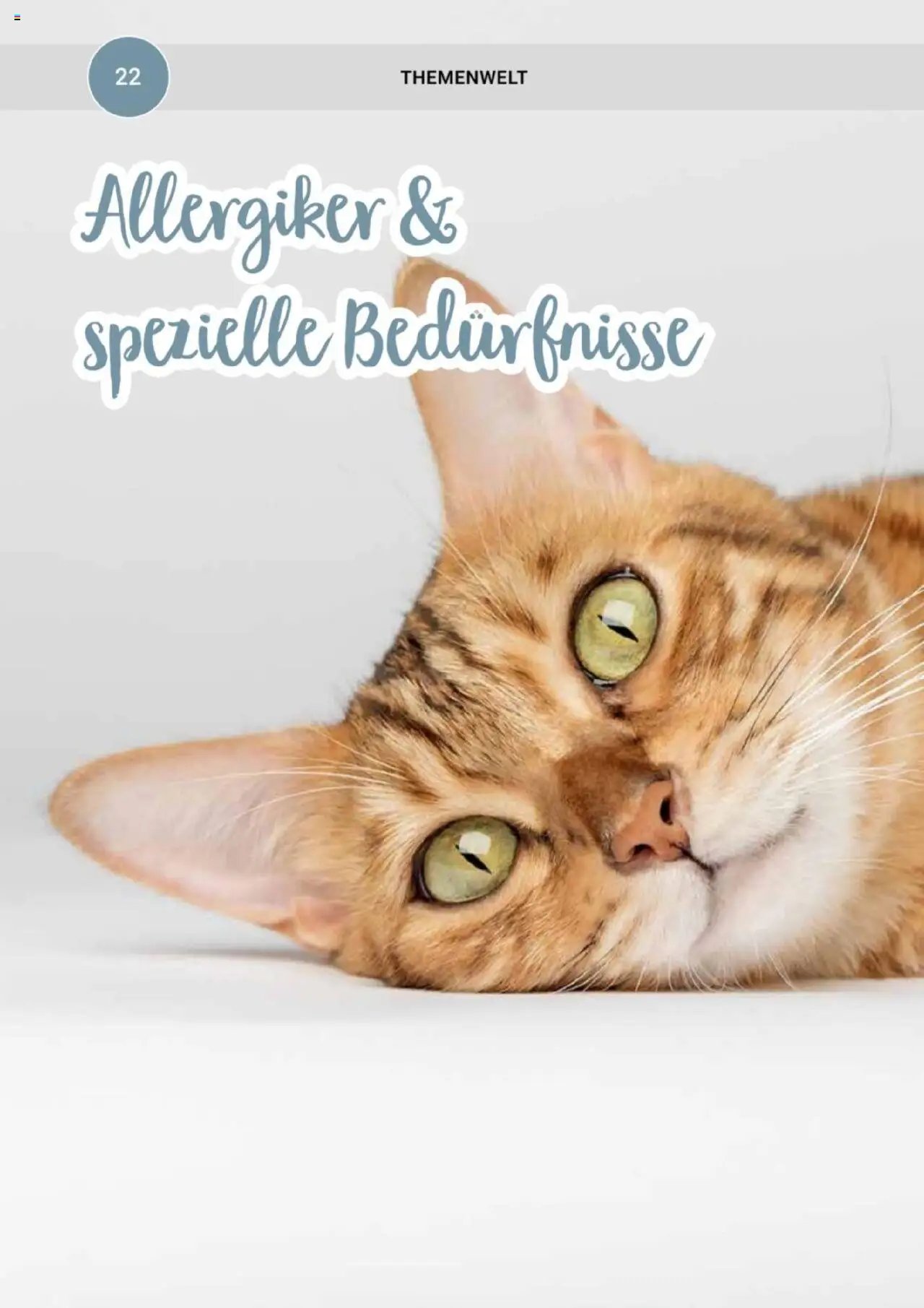 zookauf Themenkatalog Katze