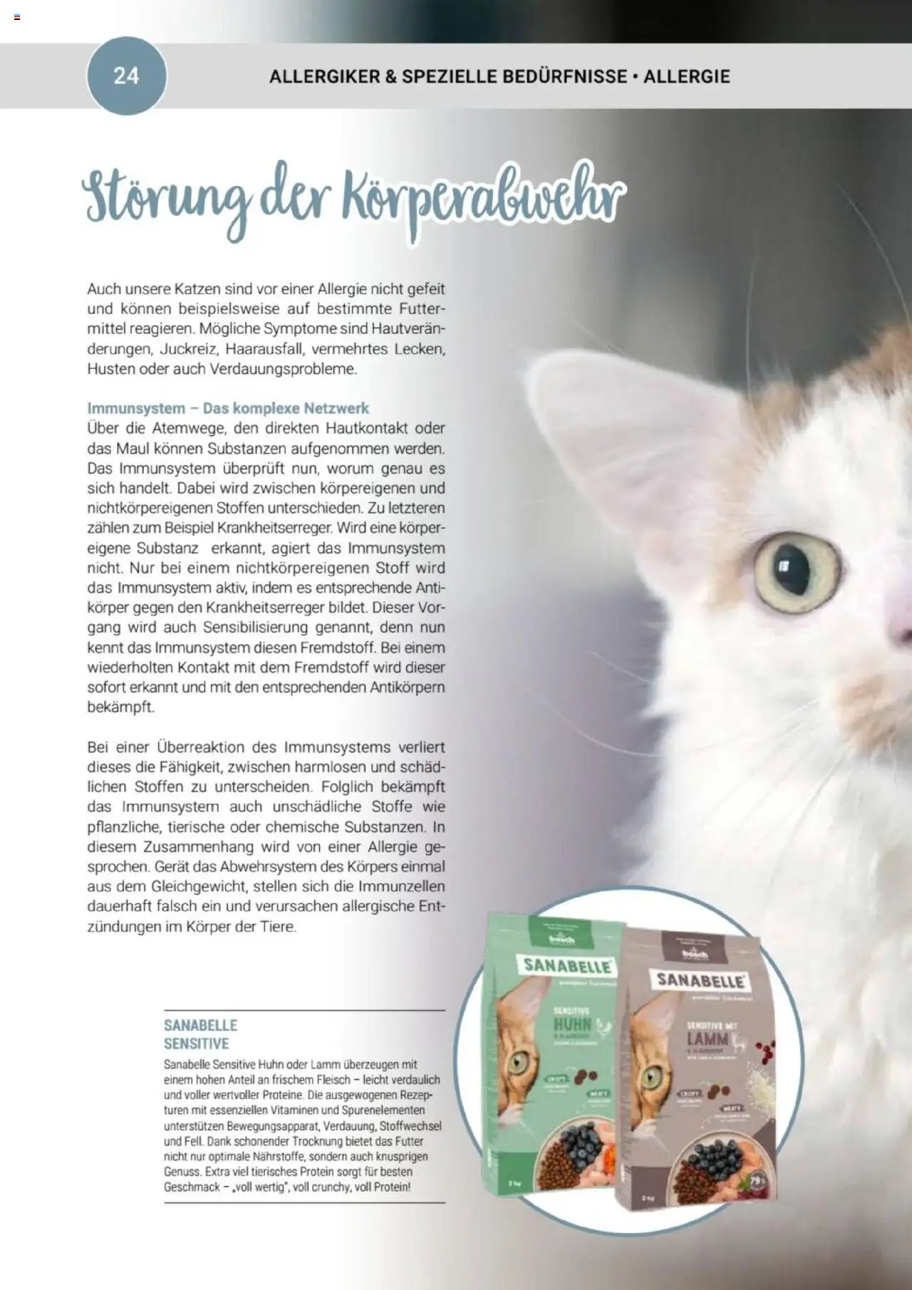 zookauf Themenkatalog Katze