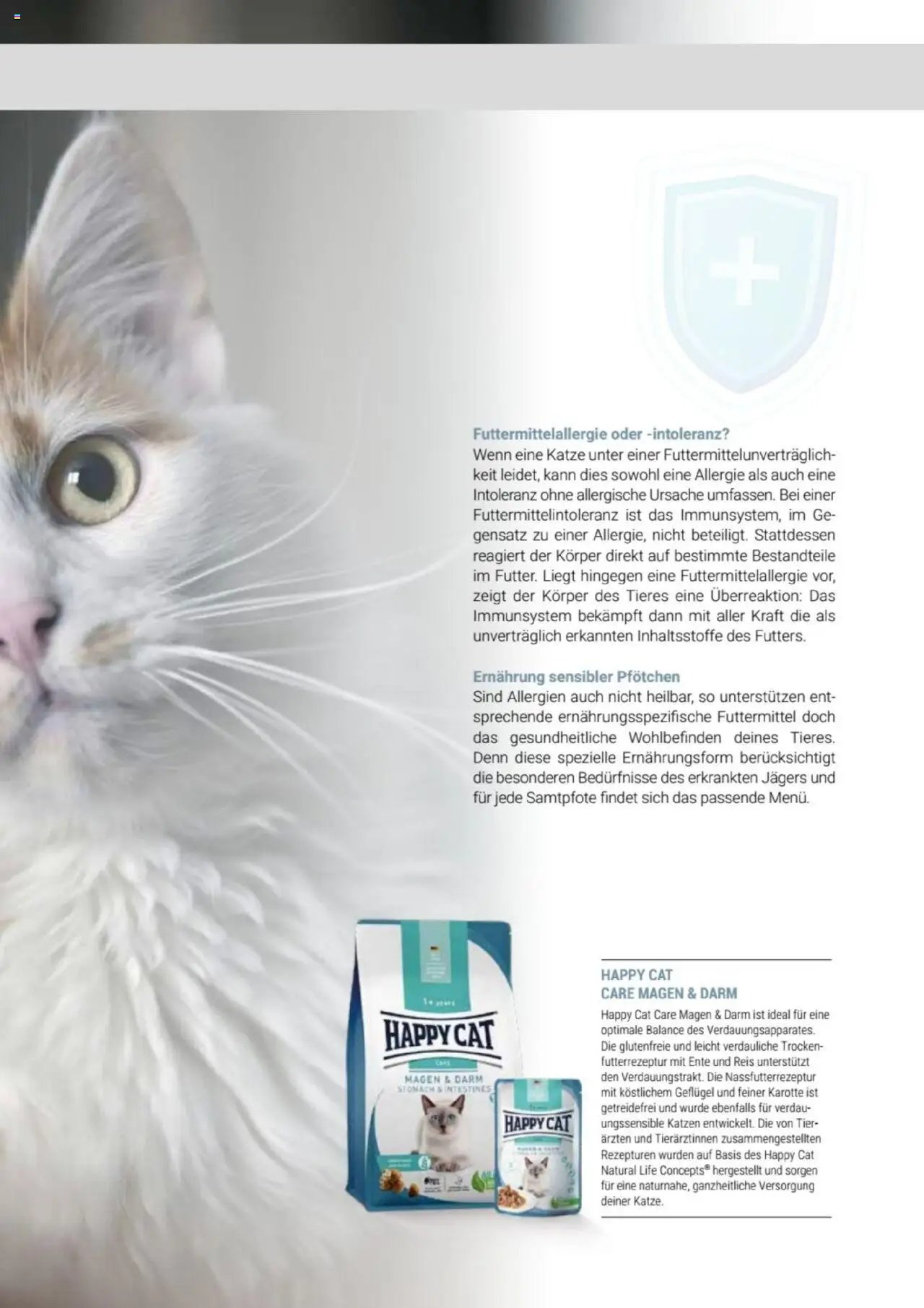 zookauf Themenkatalog Katze