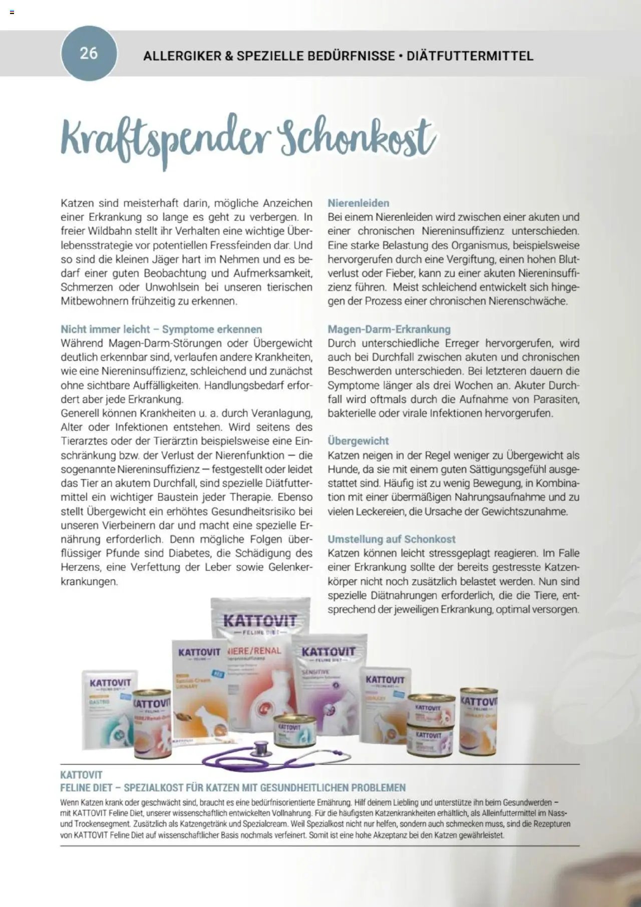 zookauf Themenkatalog Katze
