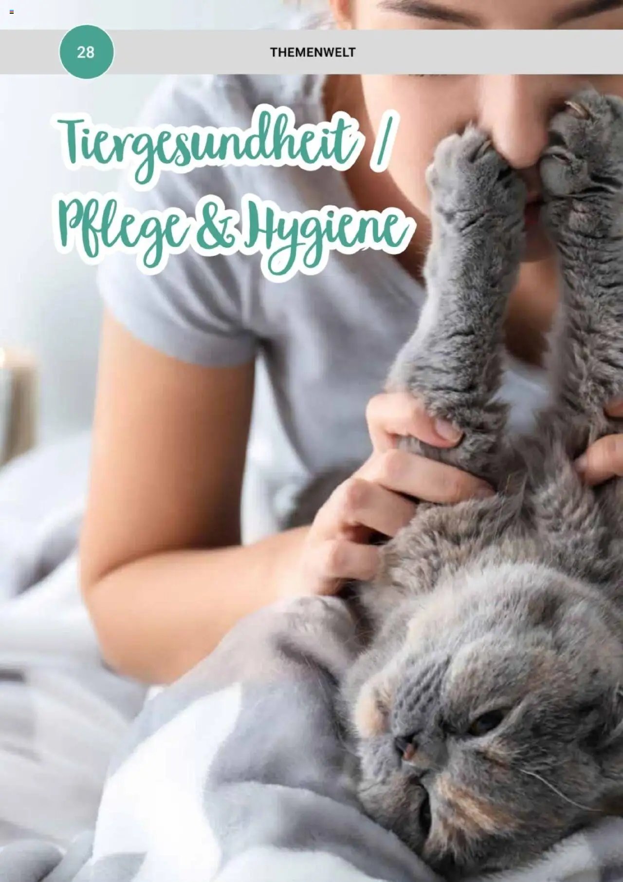 zookauf Themenkatalog Katze