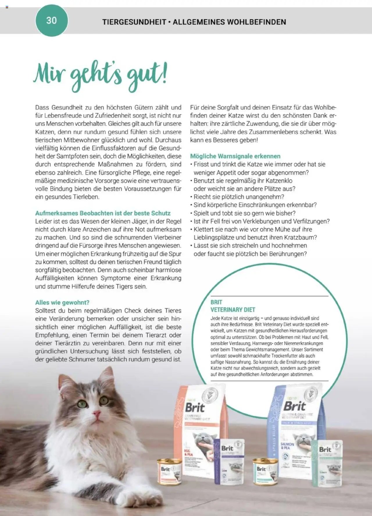 zookauf Themenkatalog Katze