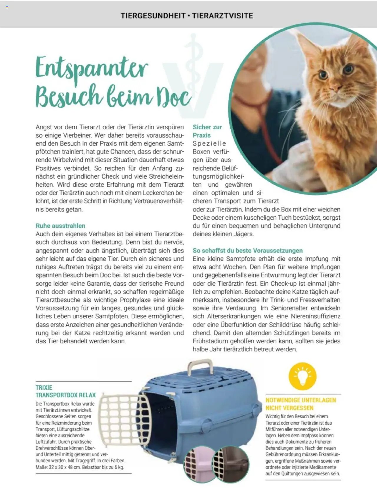 zookauf Themenkatalog Katze