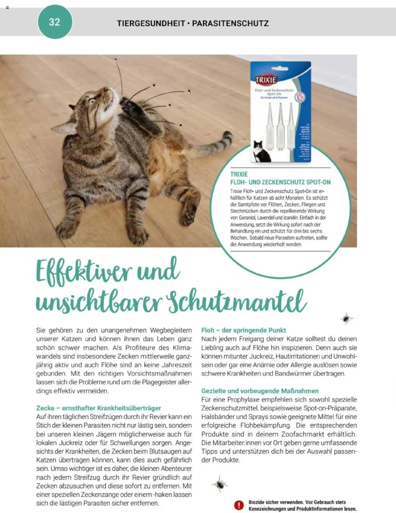 zookauf Themenkatalog Katze