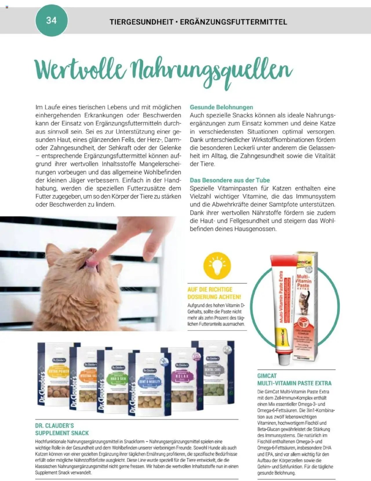 zookauf Themenkatalog Katze