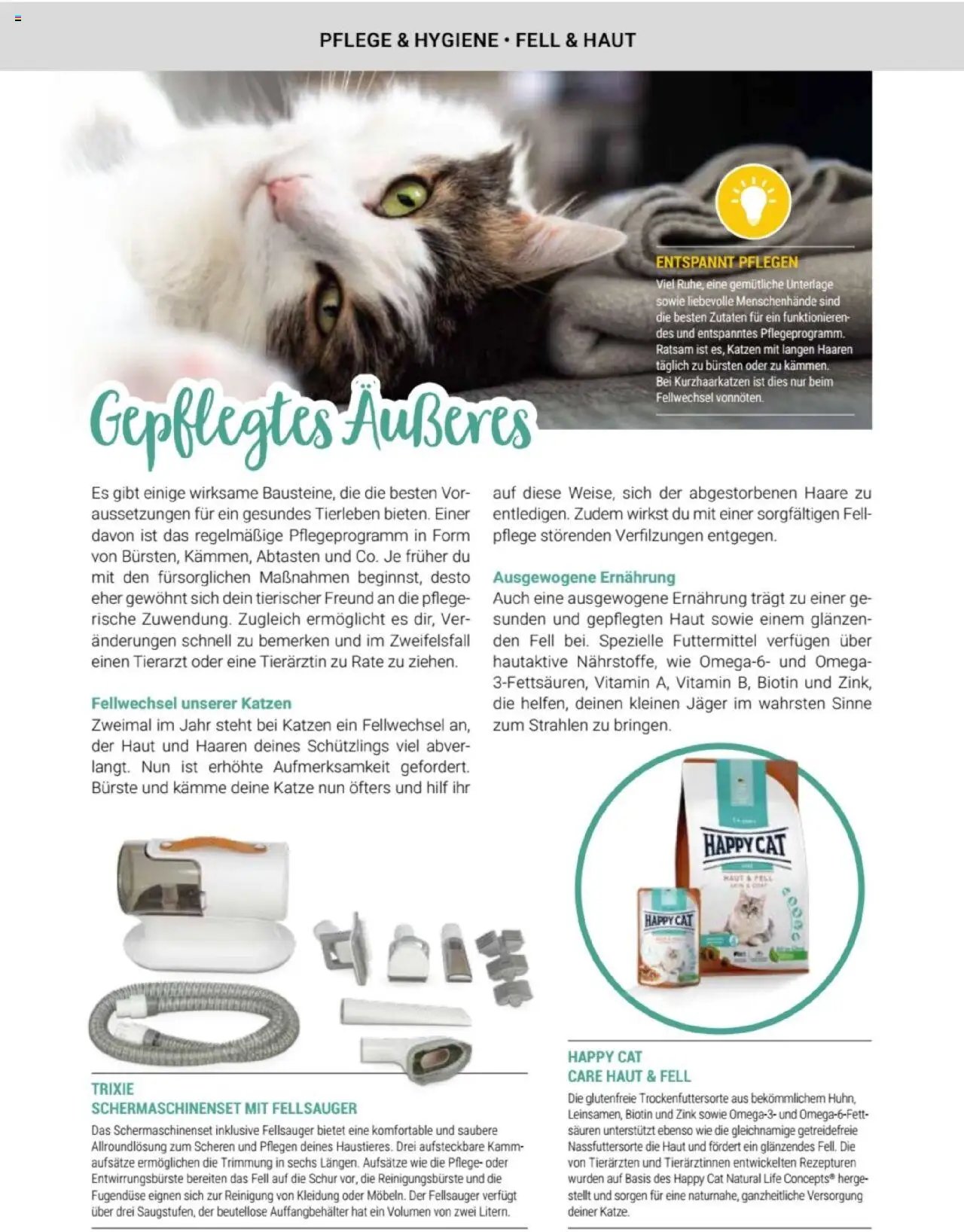 zookauf Themenkatalog Katze