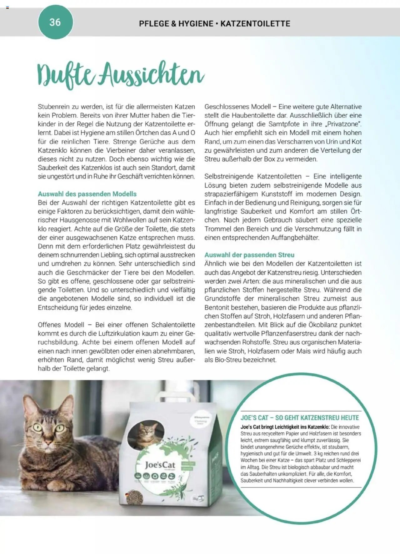 zookauf Themenkatalog Katze