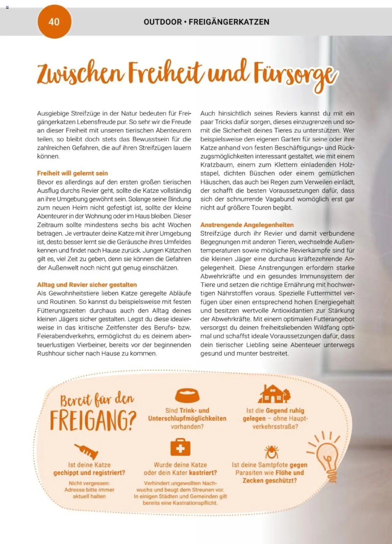 zookauf Themenkatalog Katze