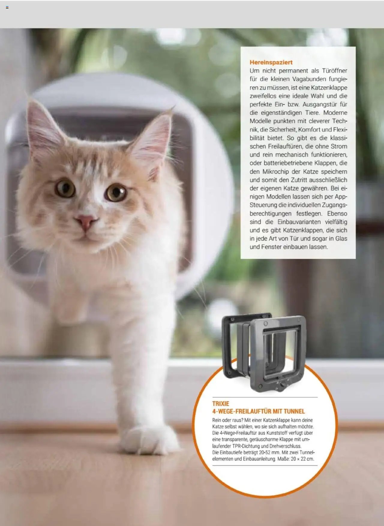 zookauf Themenkatalog Katze