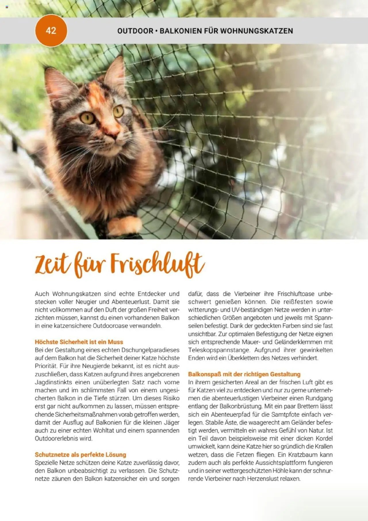 zookauf Themenkatalog Katze