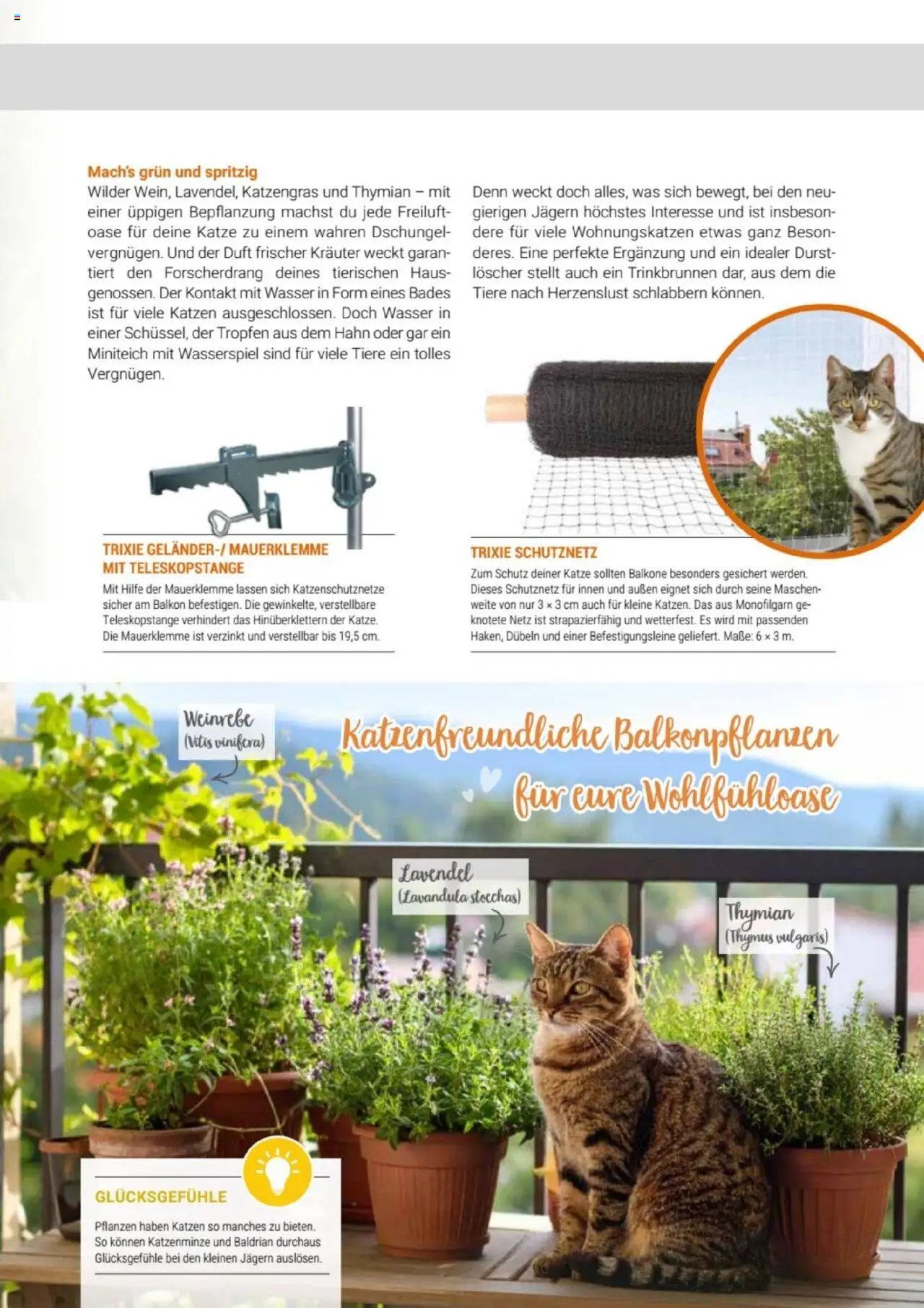 zookauf Themenkatalog Katze