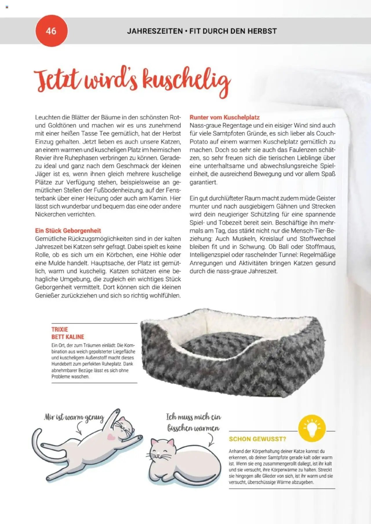 zookauf Themenkatalog Katze