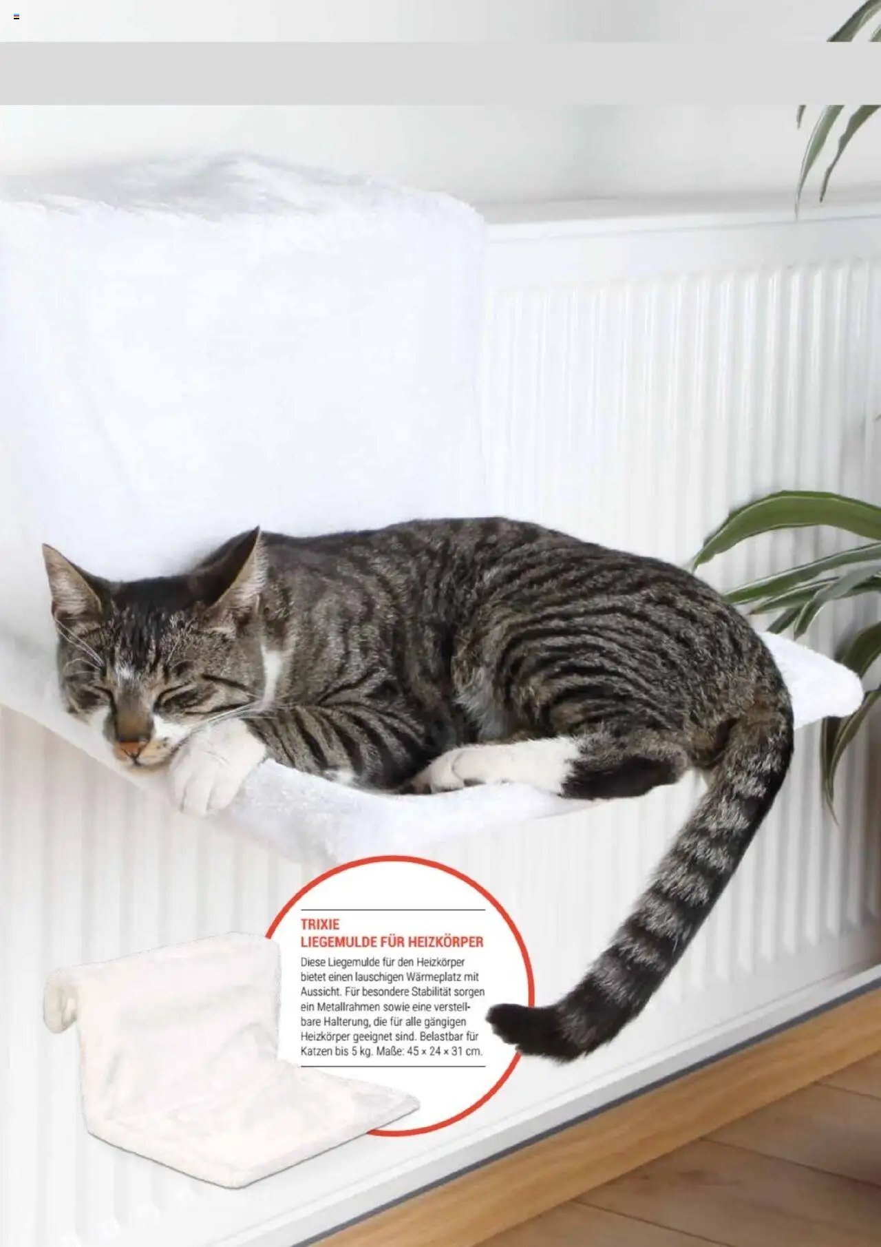 zookauf Themenkatalog Katze