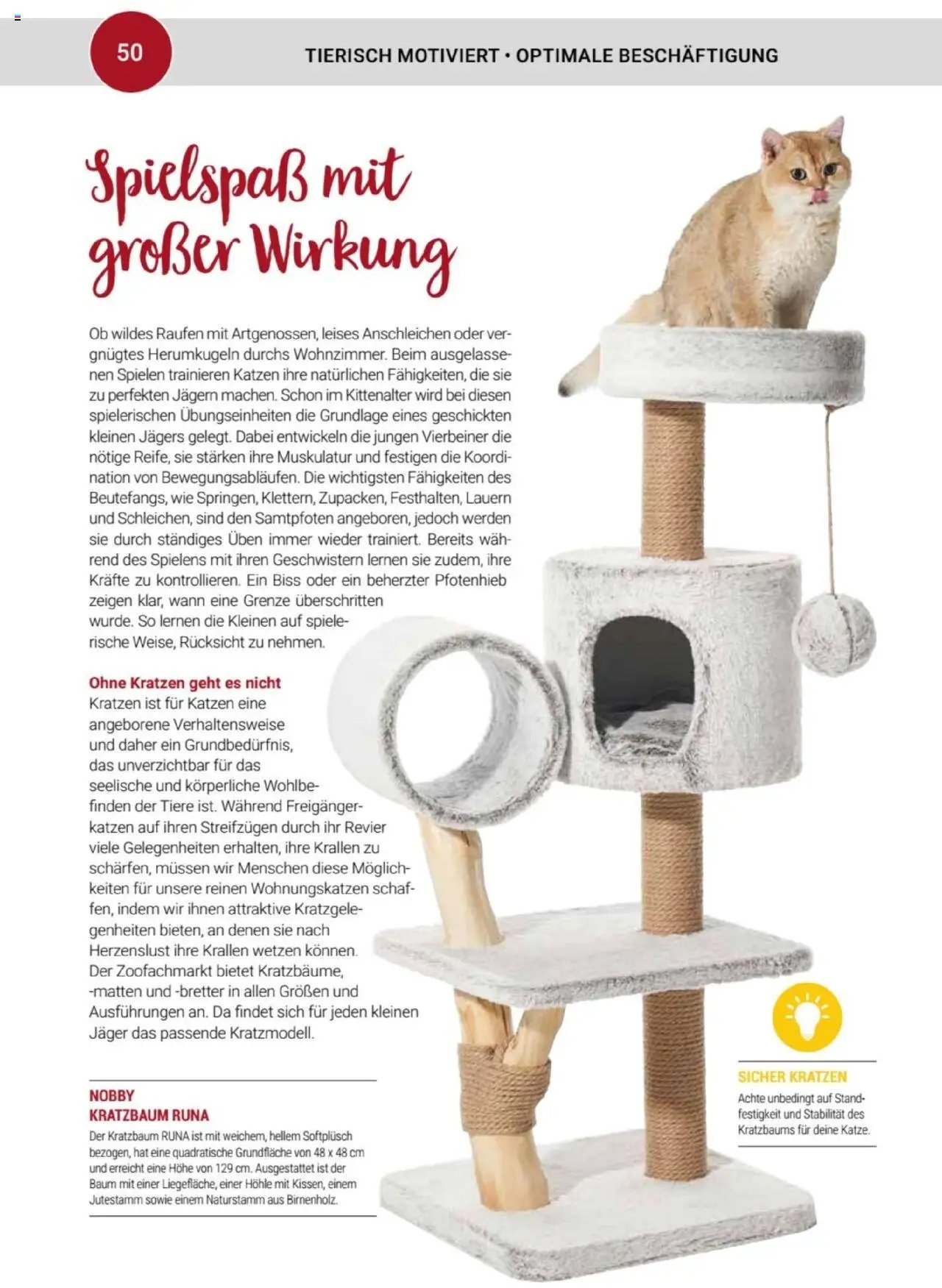 zookauf Themenkatalog Katze