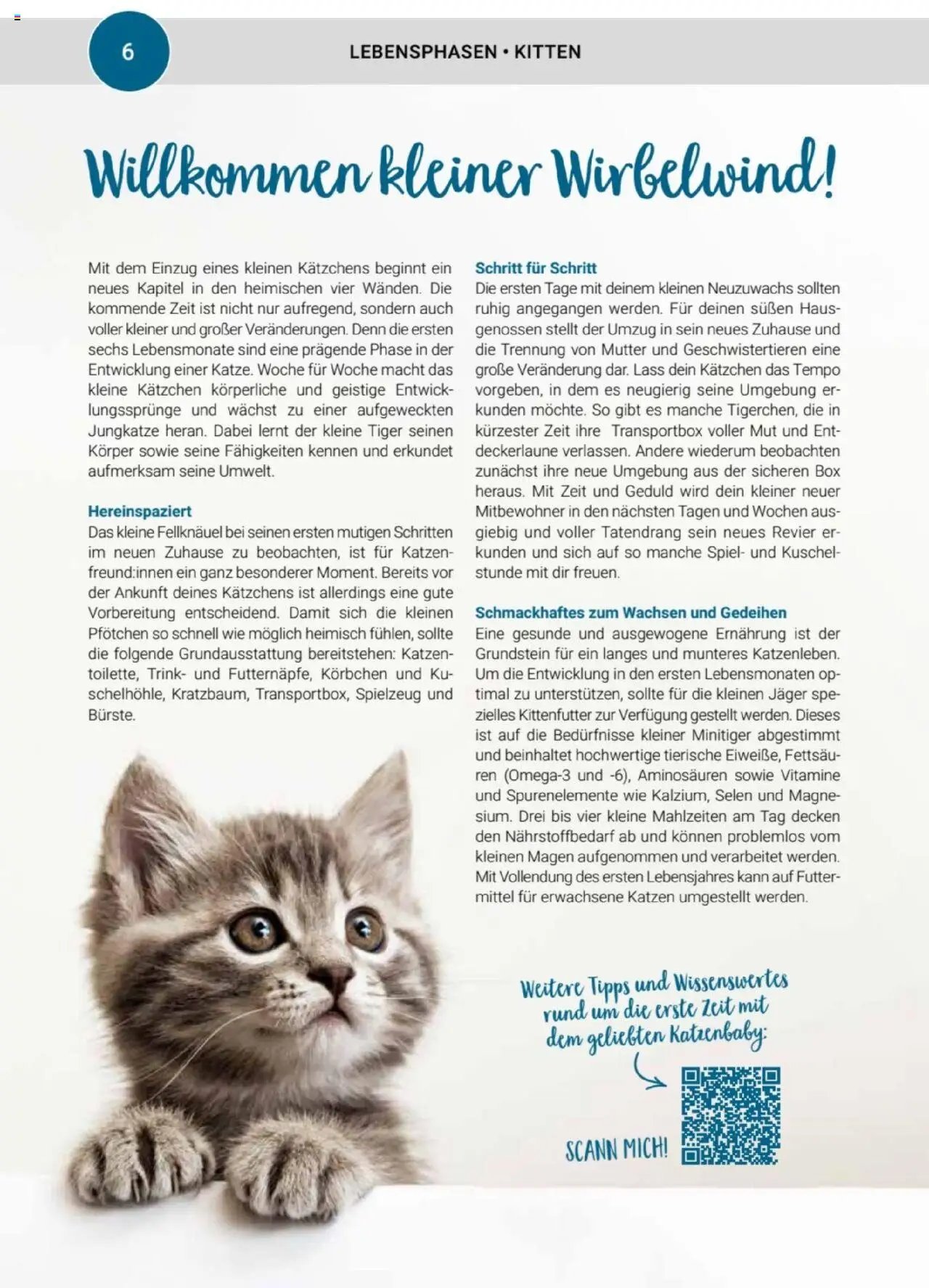 zookauf Themenkatalog Katze