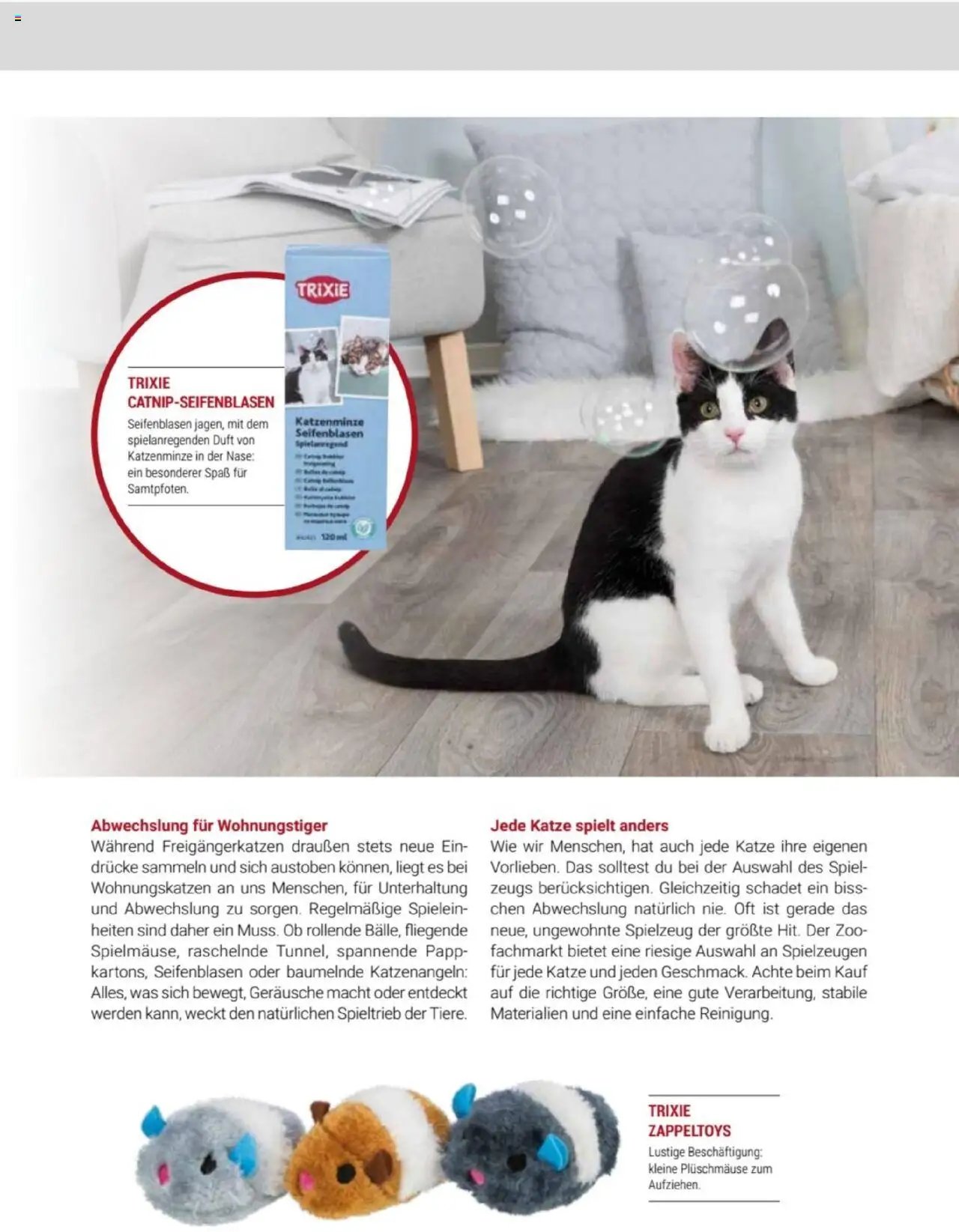zookauf Themenkatalog Katze