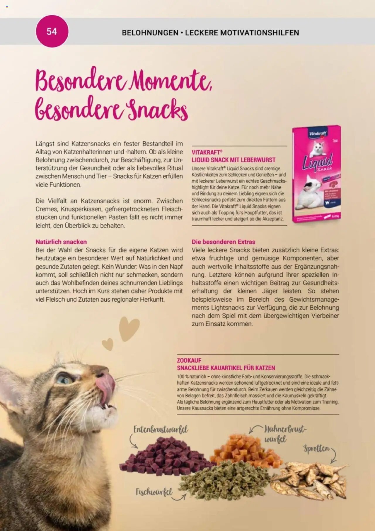 zookauf Themenkatalog Katze