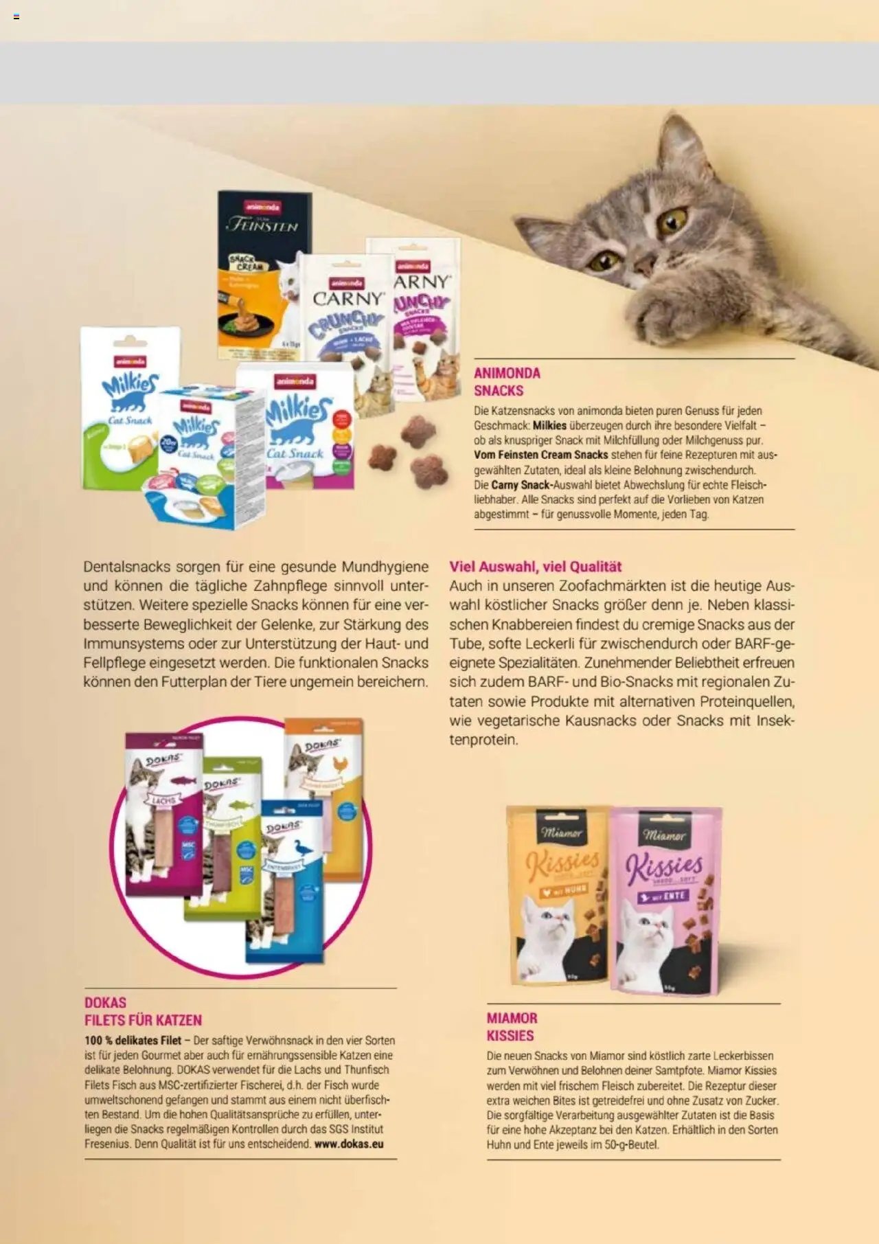 zookauf Themenkatalog Katze