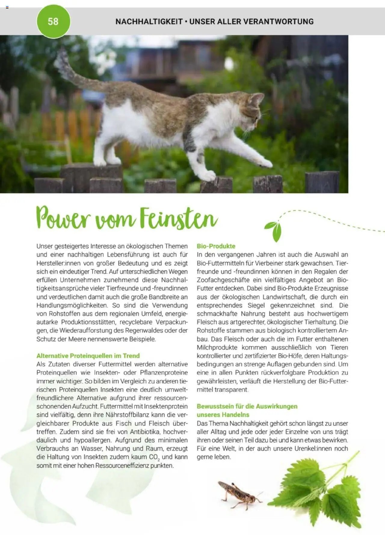 zookauf Themenkatalog Katze